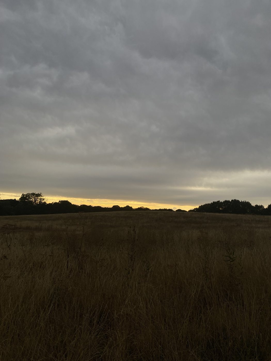 Heavy grey clouds over a golden field at dusk
