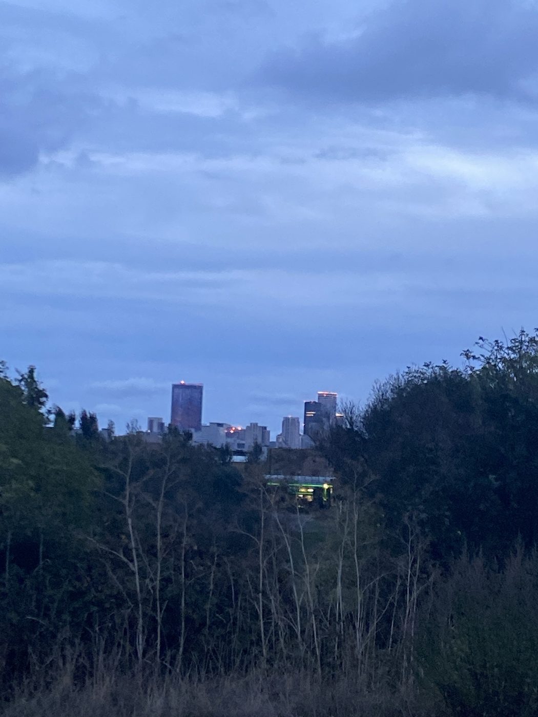 A distant city skyline over dark treetops at dusk