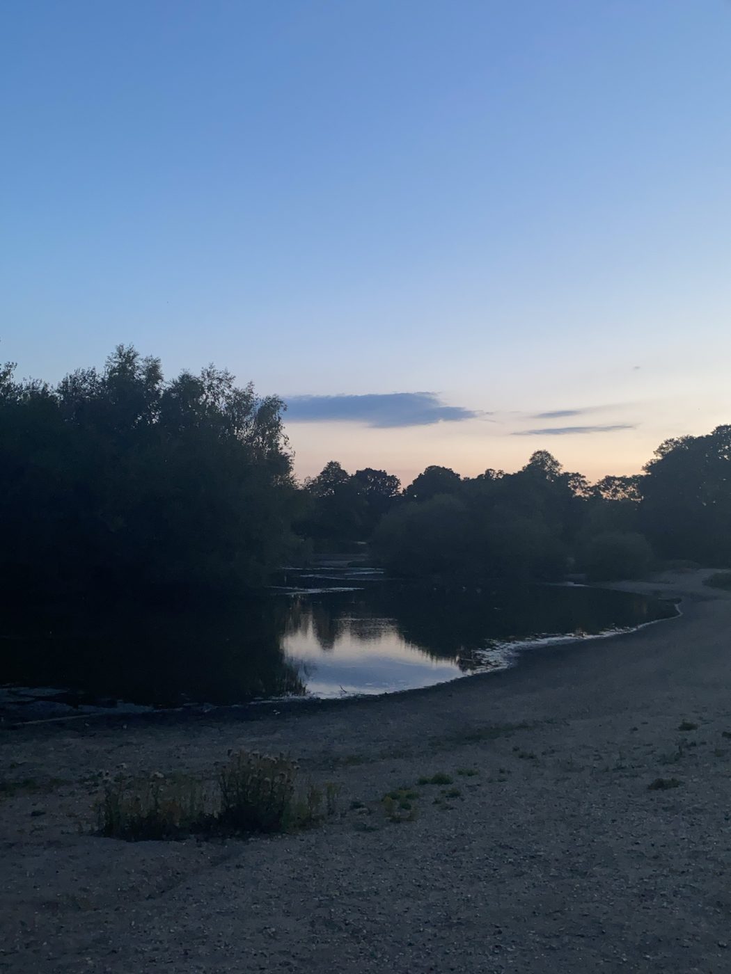 A dark pond reflecting the evening sky