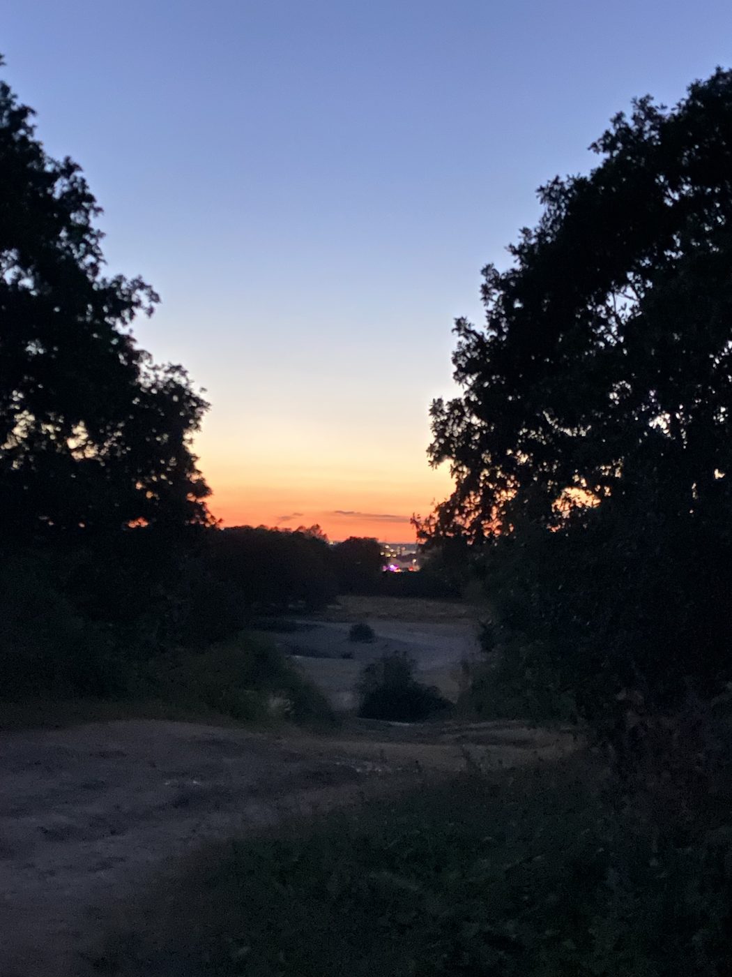 A sunset glowing through a gap in dark trees